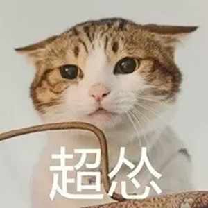 猫猫怂表情包大全无水印版截图3