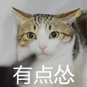 猫猫怂表情包大全无水印版截图2