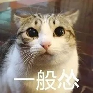 猫猫怂表情包大全无水印版截图1