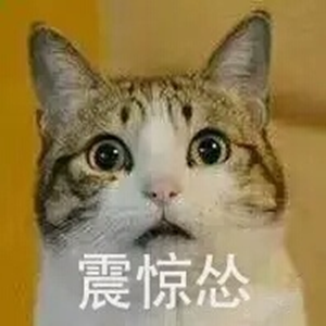 猫猫怂表情包大全无水印版截图6