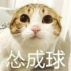 猫猫怂表情包大全无水印版截图7