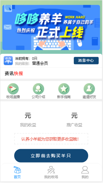 哆哆养羊精简版截图4