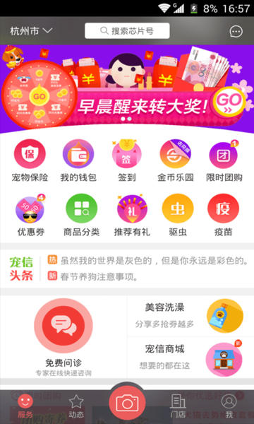 宠信网页版截图3