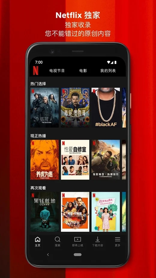 Netflix去广告版截图2