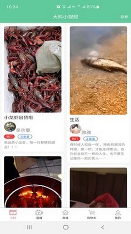 大料小视频