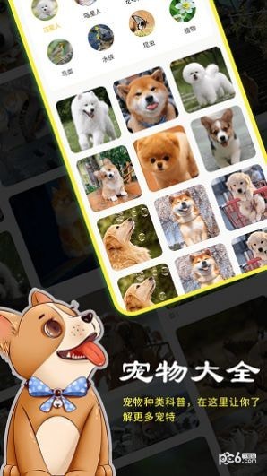 橙猫ios版截图1