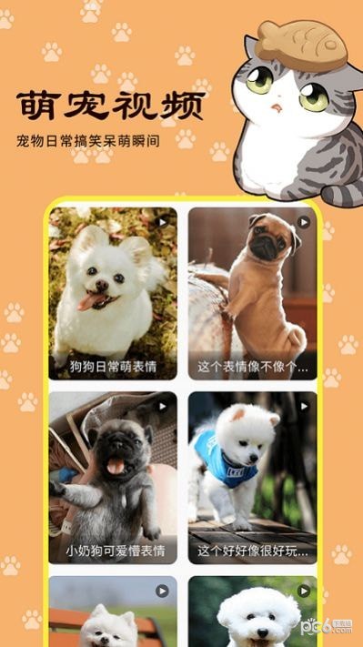 橙猫ios版截图4